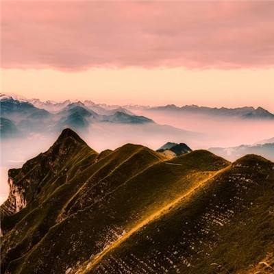 traptribe最新版下载